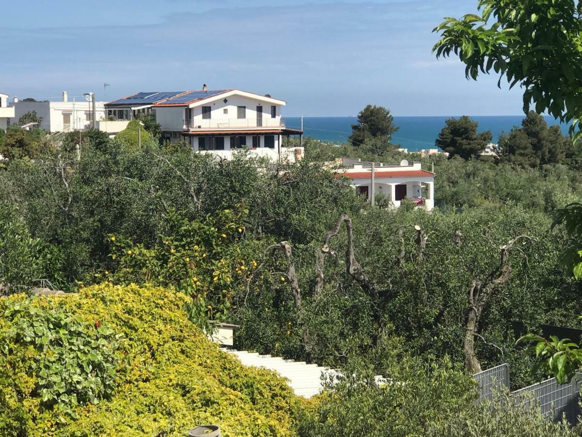 Appartamenti Santa Margherita Vieste Luaran gambar
